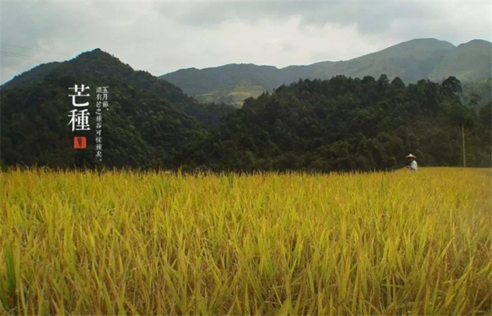 20200609/0df80c2492d9e7704eadd72c7f2d0c22.jpg 13.jpg