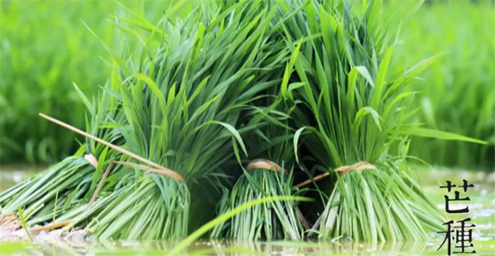 20200609/6c4196044865a98f54f485121f80823d.jpg 10.jpg