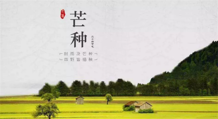 20200609/747d8852053ea72d4f5ee7ab0a32a932.jpg 1.jpg