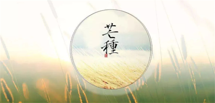 20200609/af937942a83bc8109532d7aa7c3f4899.jpg 11.jpg