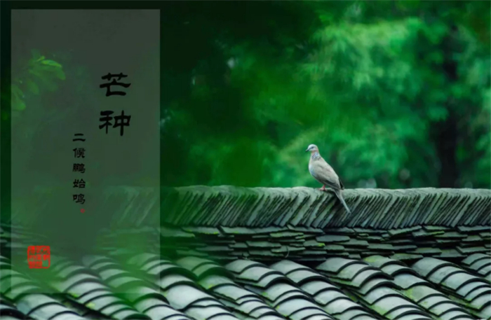 20200609/ec113c890999c2e60f30b1d37529aaf5.jpg 12.jpg